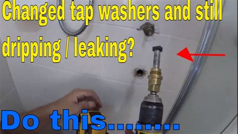 replaced cartridge shower still leaks|changed cartridge shower still leaking.